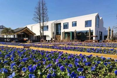 露营、桌球、工厂店&hellip;假期来这里吃喝玩乐一条龙!